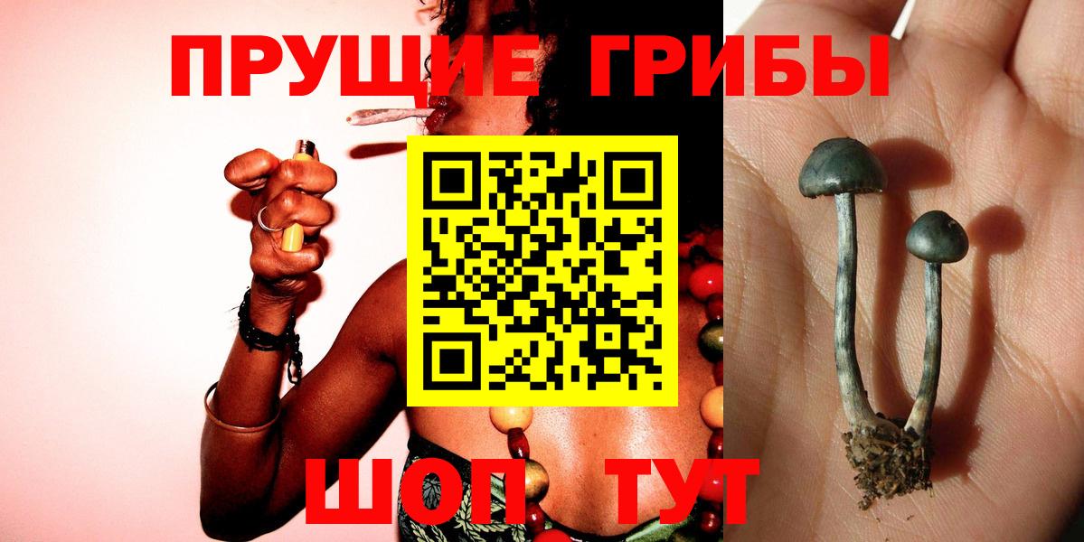Псилоцибиновые грибы Magic Shrooms  Вход с VPN  Ковров 